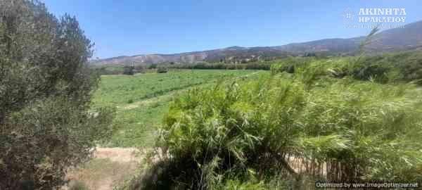 εικόνα_Viber_2025-07-10_14-19-48-442.jpg